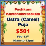 8D-Ustra (Camel) Pooja